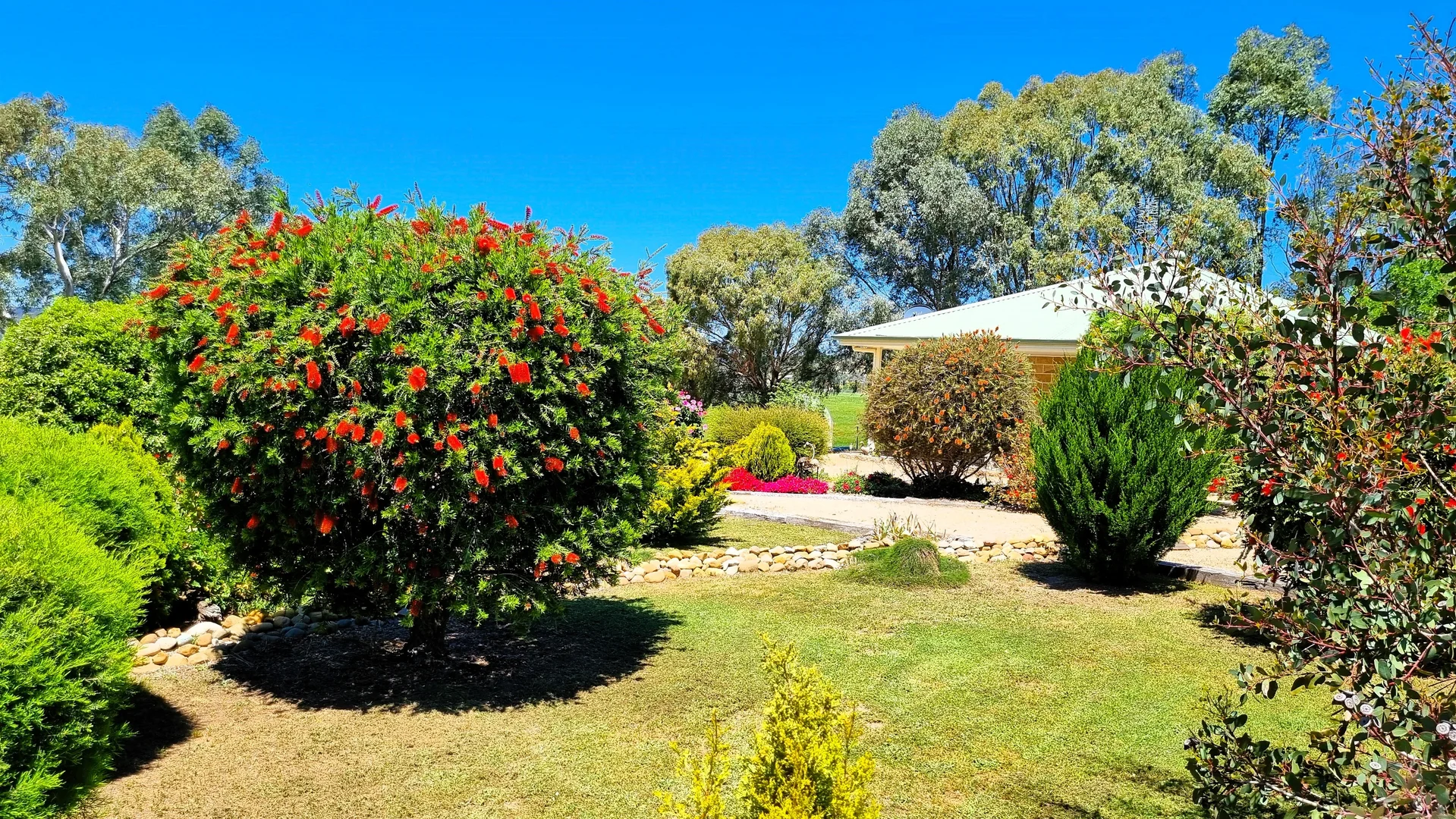 Additional image 15 of 3374 Murringo Road, Young NSW 2594