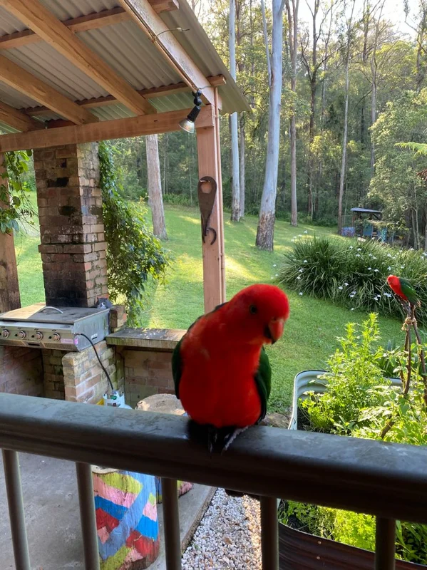 Additional image 19 of Bandon Grove NSW 2420