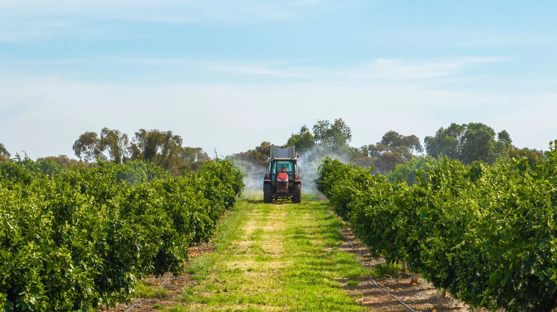 Additional image 10 of Nericon NSW 2680