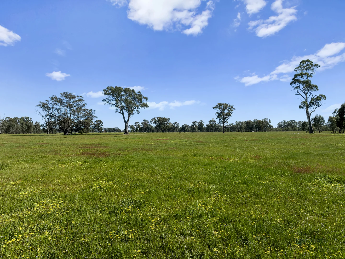 Additional image 11 of 19A & 20A Balmattum North Road, Balmattum VIC 3666