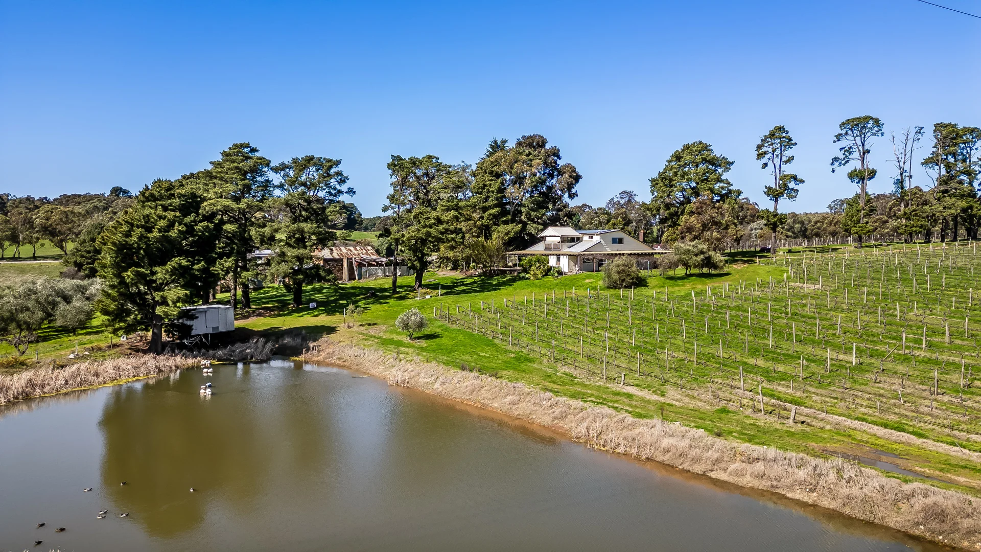 Additional image 8 of 144 Murray Road, Paracombe SA 5132