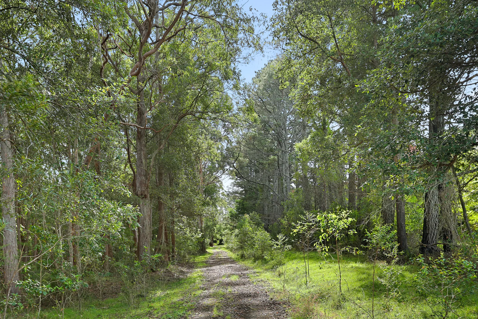 Additional image 19 of 92 Powells Road, Bilpin NSW 2758