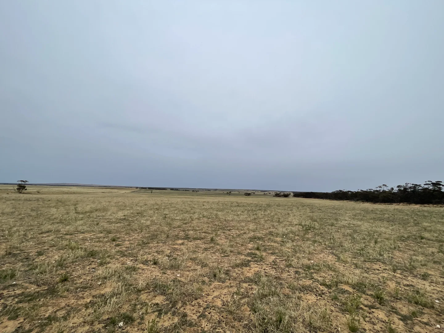 Additional image 10 of 2440 Black Hill Road, Black Hill SA 5353