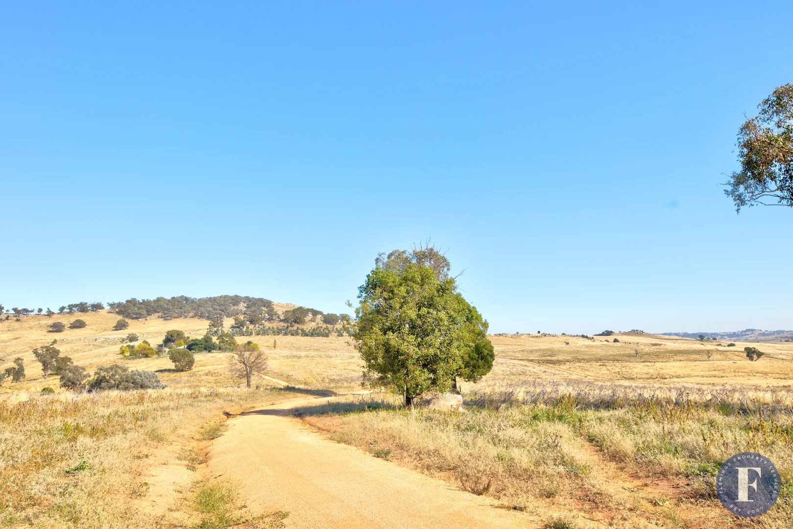 Additional image 18 of 171 Frogmore Road, Boorowa NSW 2586