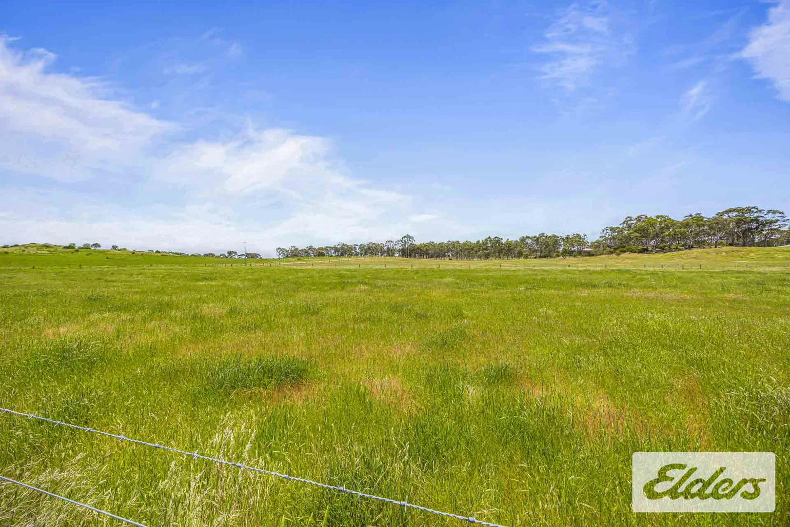 Additional image 14 of 142 Talbot Road, Majorca VIC 3465