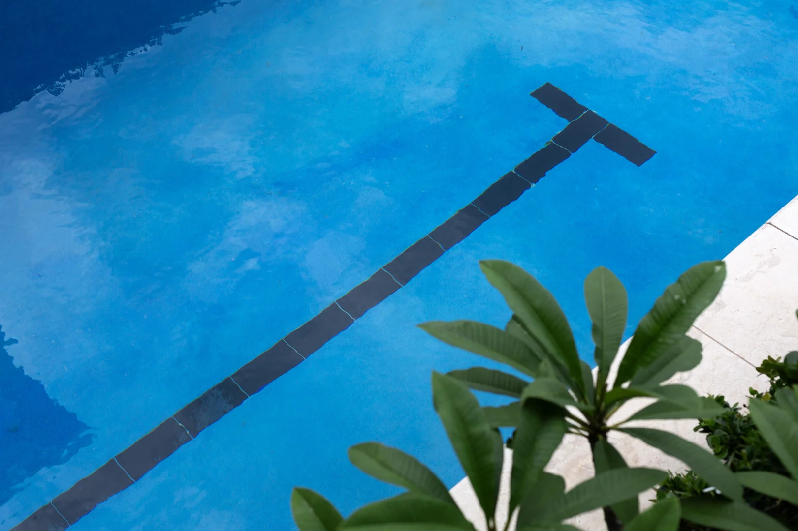 Additional image 30 of 78 Charles Avenue, Minnamurra NSW 2533