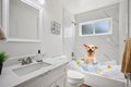 Additional image 7 of 4292 Meg Dr, San Jose, CA, 95136