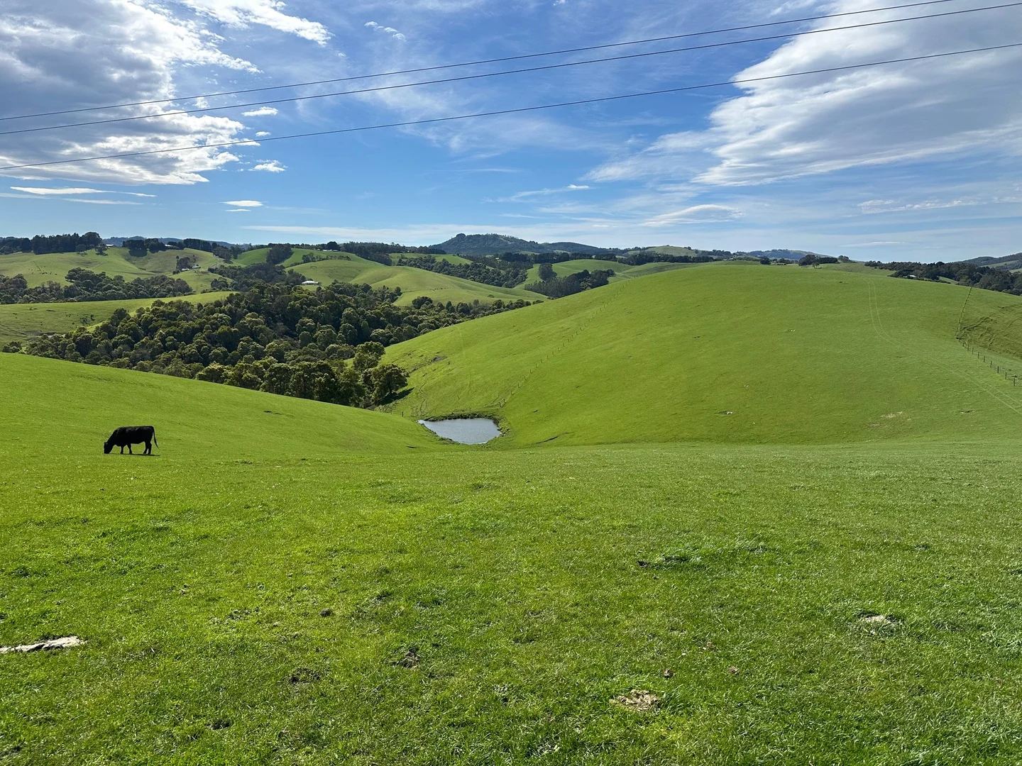 Additional image 34 of Lots 1 & 2/3655a South Gippsland Highway, Foster VIC 3960