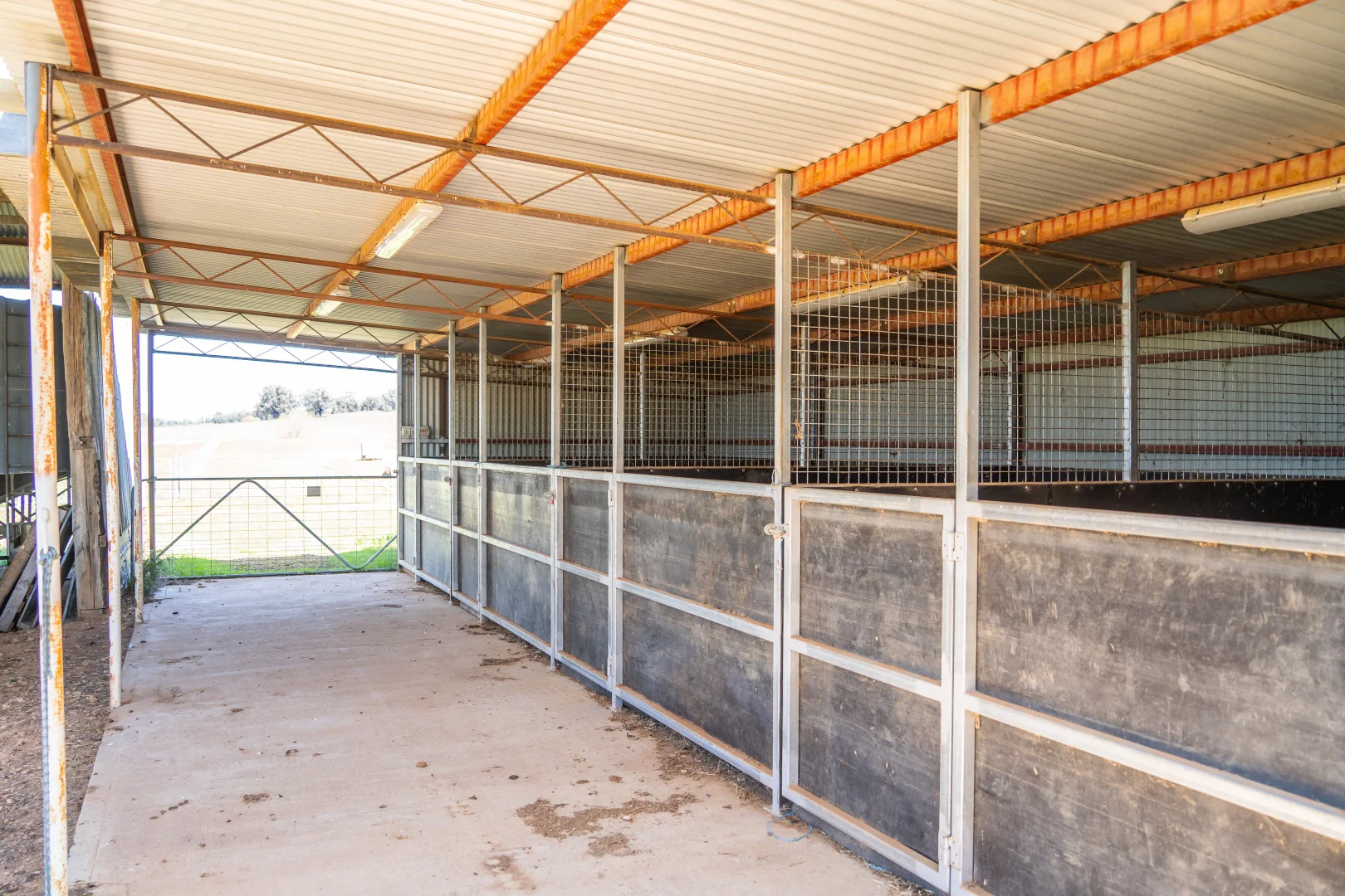 Additional image 15 of 100 Grahams Lane, Grenfell NSW 2810