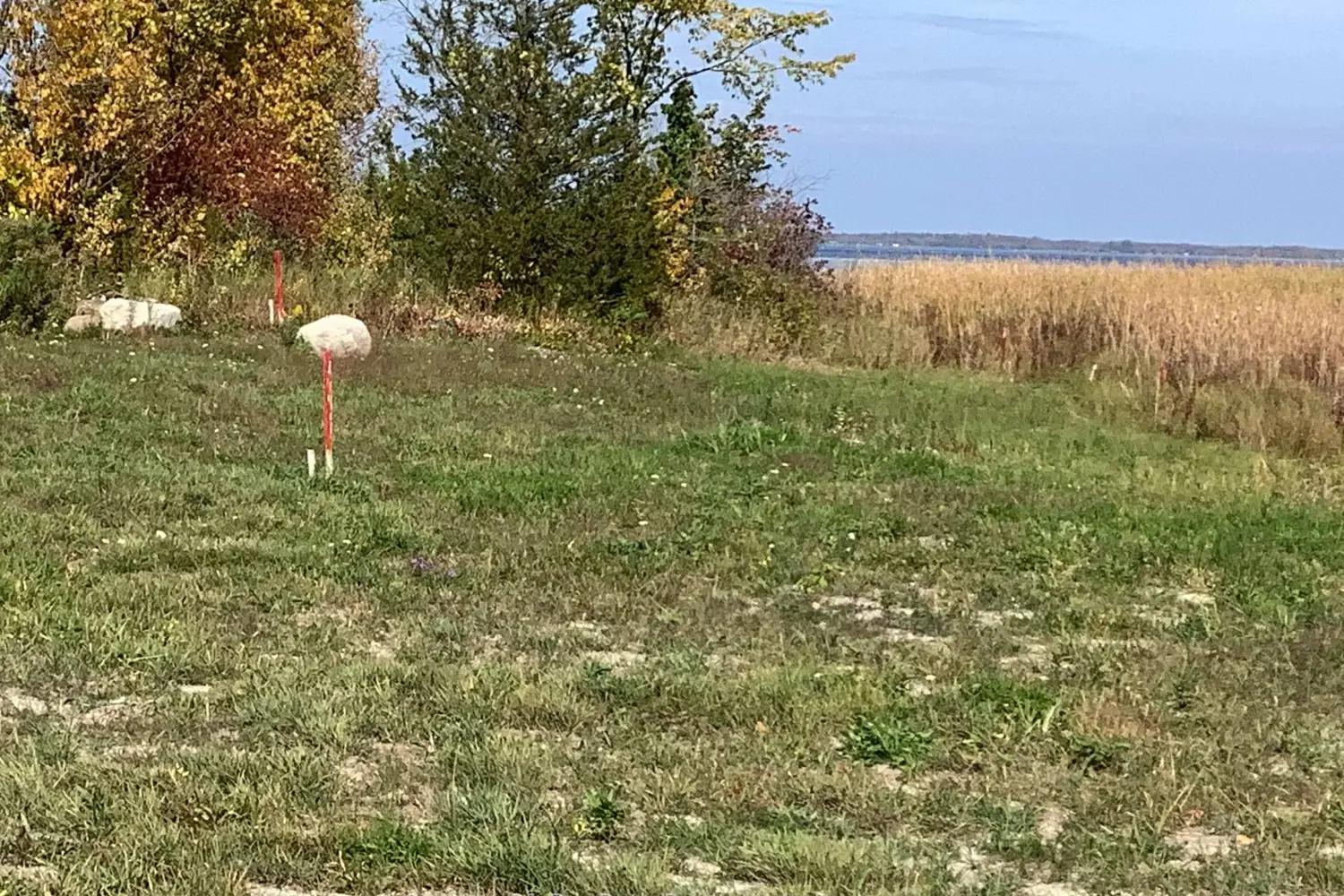 Additional image 4 of 9 Swan Lane 44