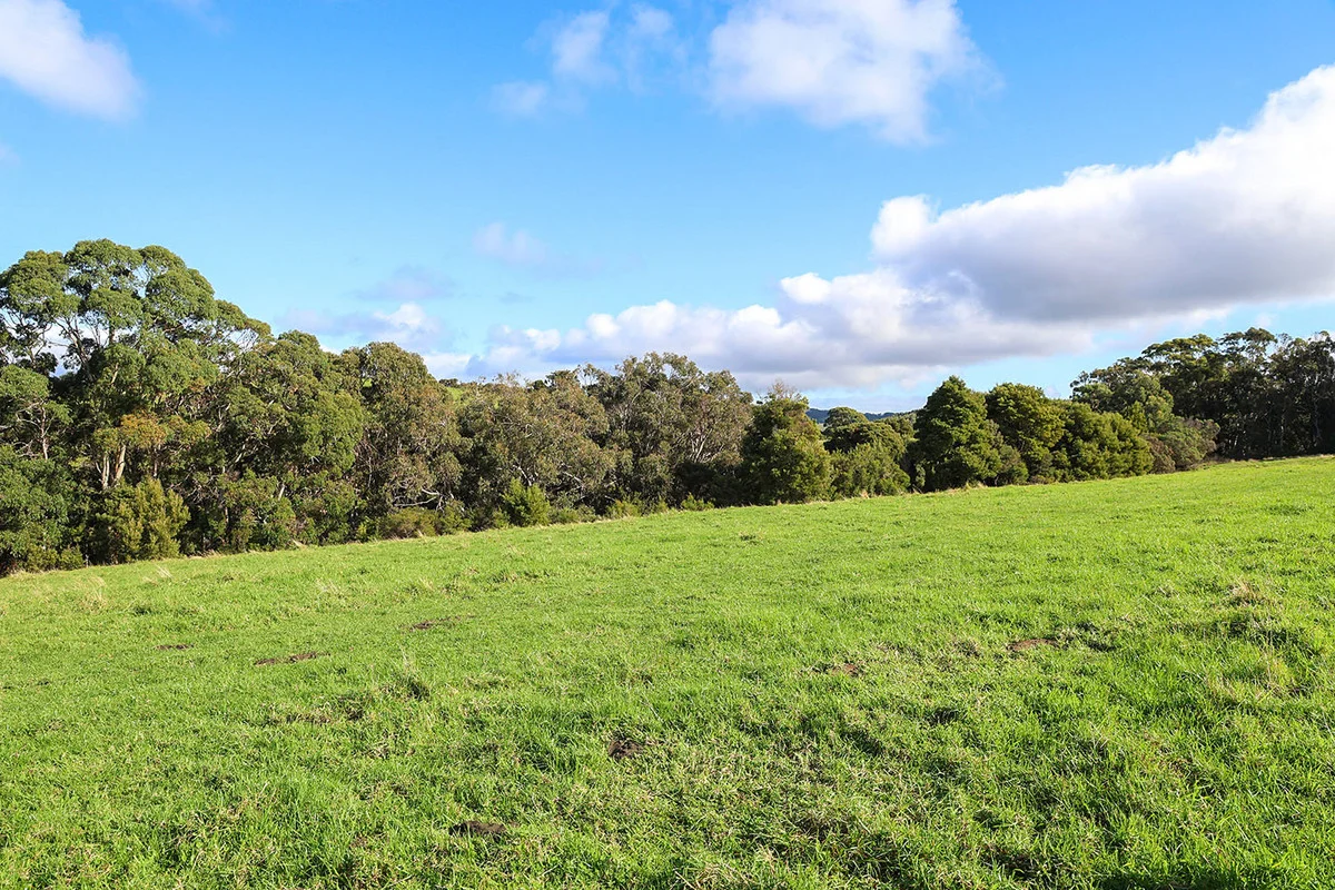 Additional image 17 of 105 Stafford Road, Johanna VIC 3238