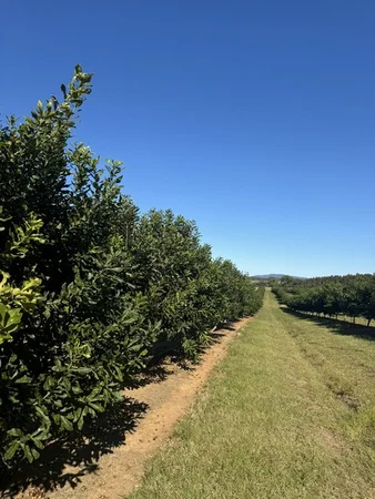 Additional image 15 of Skyring Reserve QLD 4671