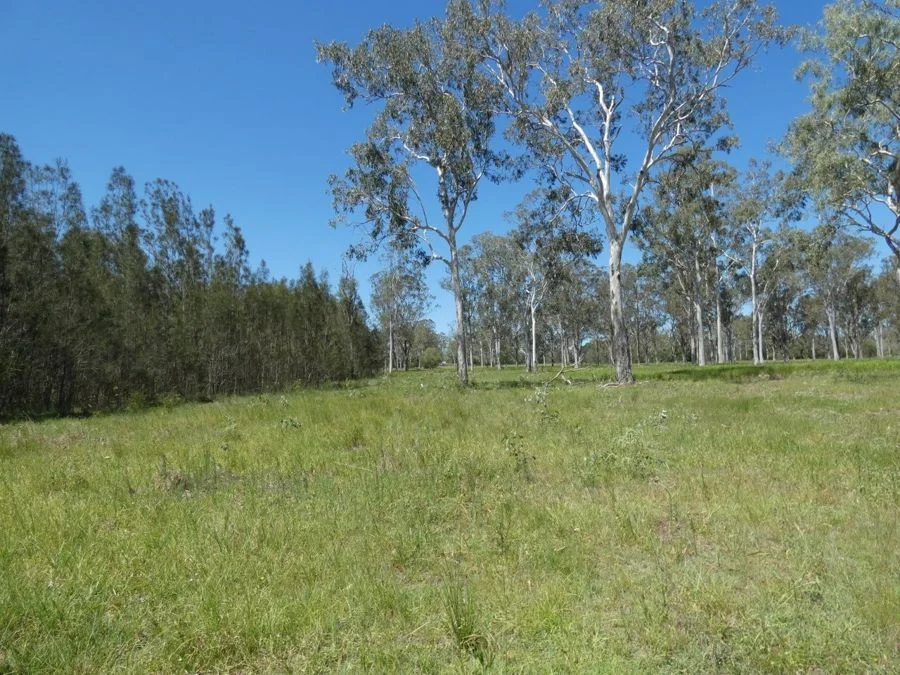 Additional image 31 of 158 Taunton Road, Euleilah QLD 4674