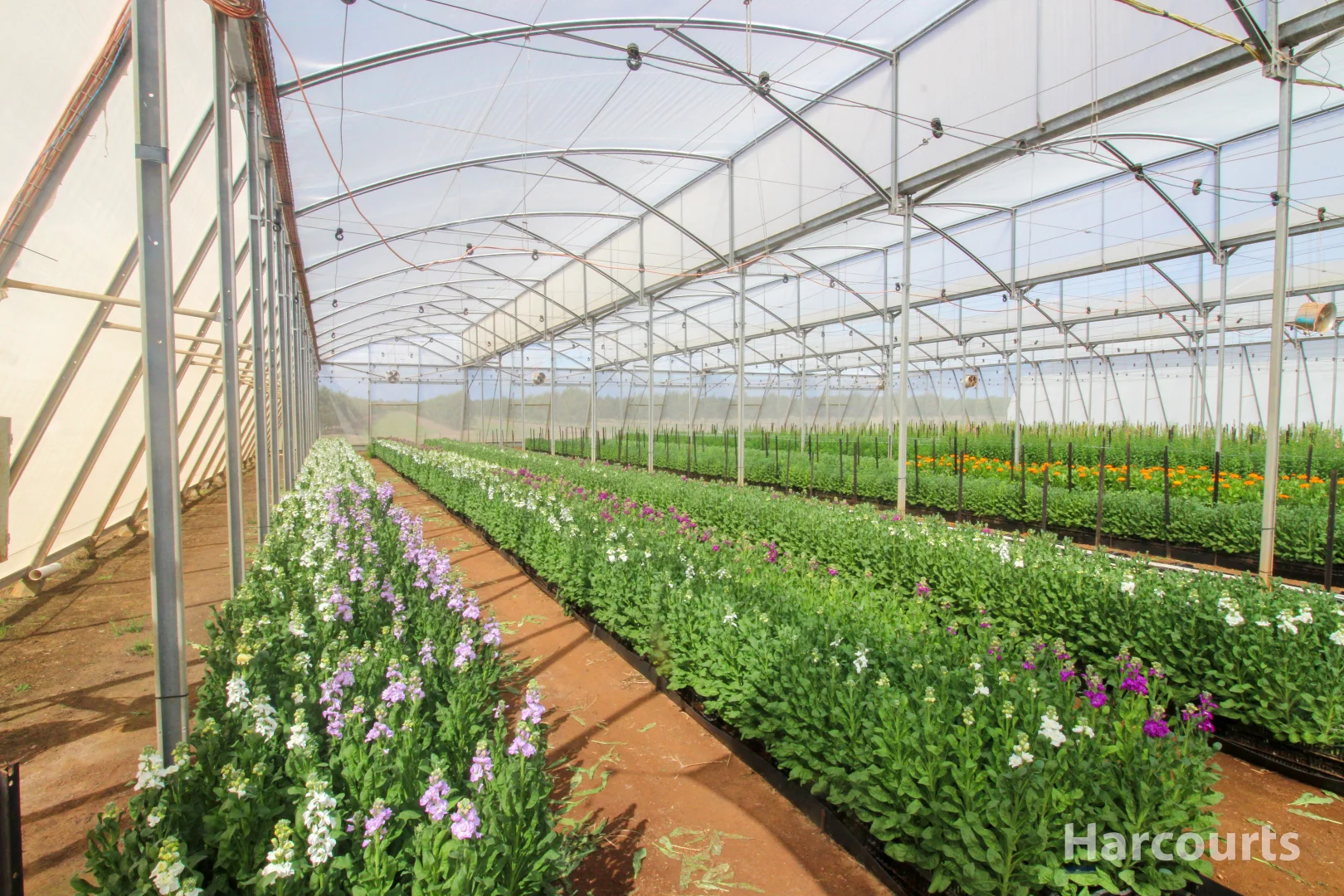 Additional image 4 of 106 Sheehans Road, Calavos QLD 4670