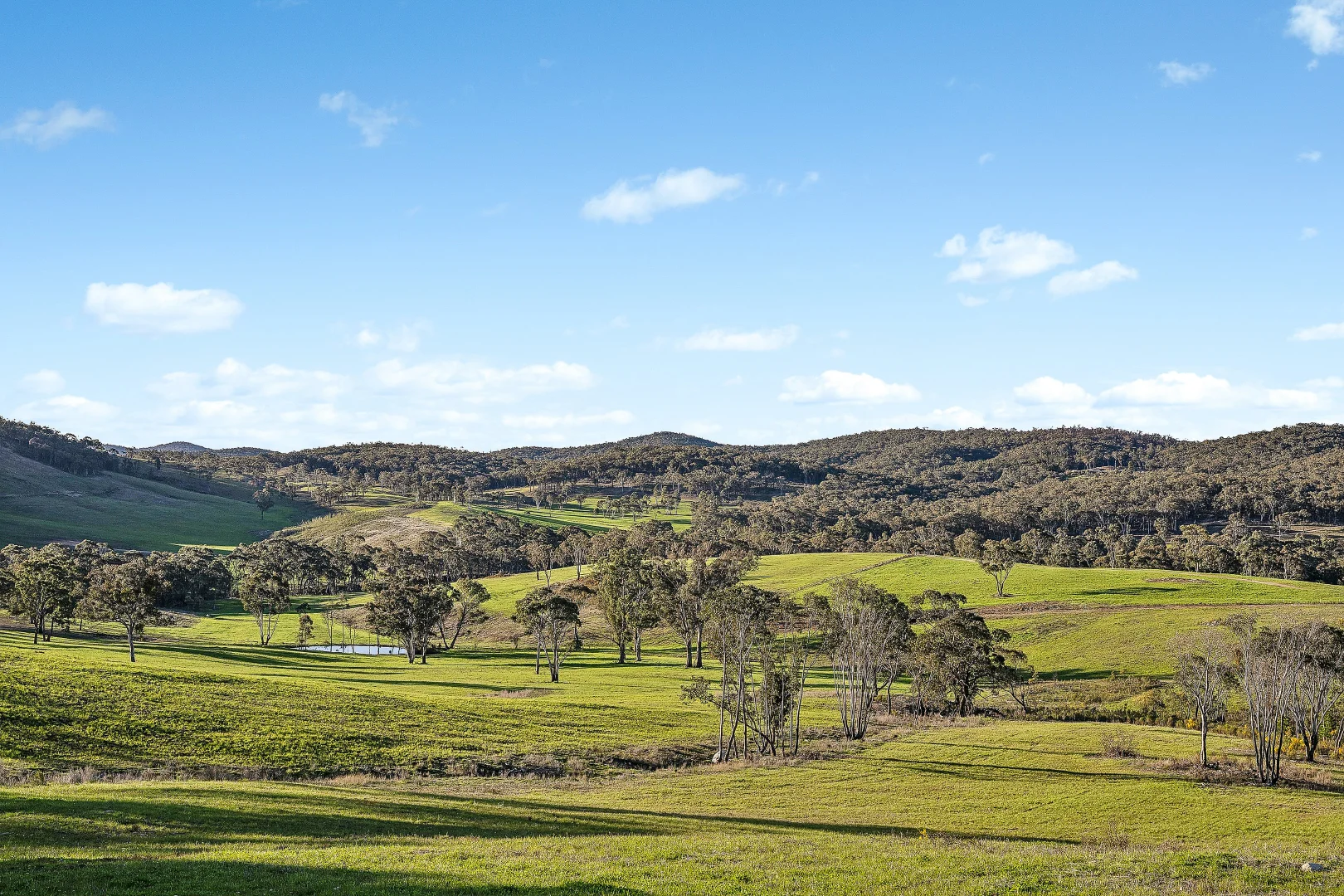 Additional image 5 of 358 Belgravia Road, Orange NSW 2800