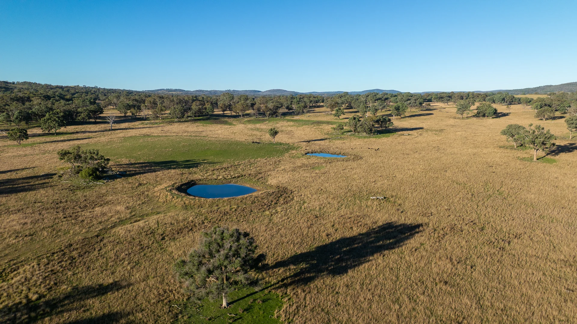 Additional image 18 of 3158 Baldersleigh Road, Guyra NSW 2365