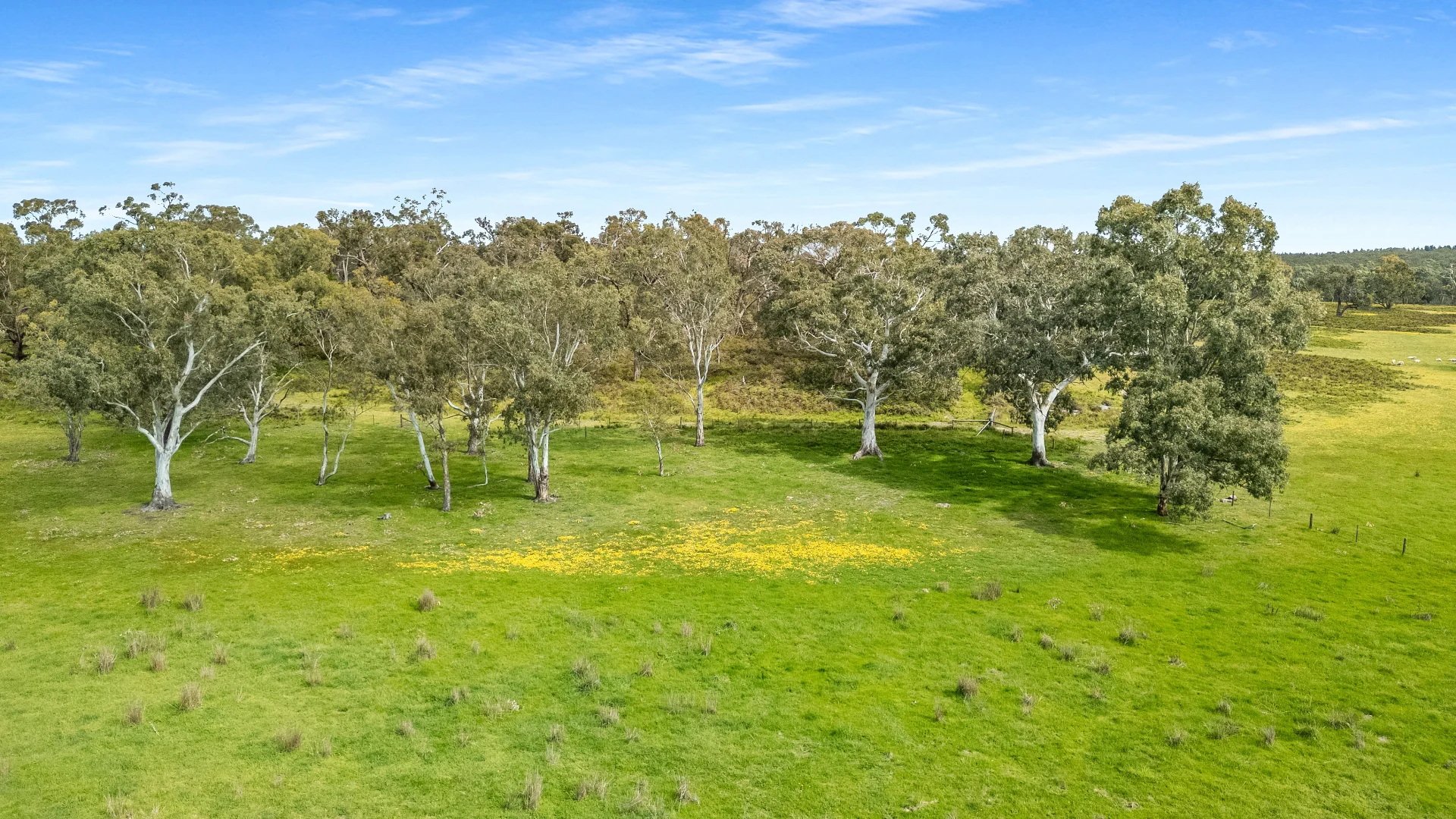 Additional image 24 of 1242 Old Comaum Rd, Coonawarra SA 5263