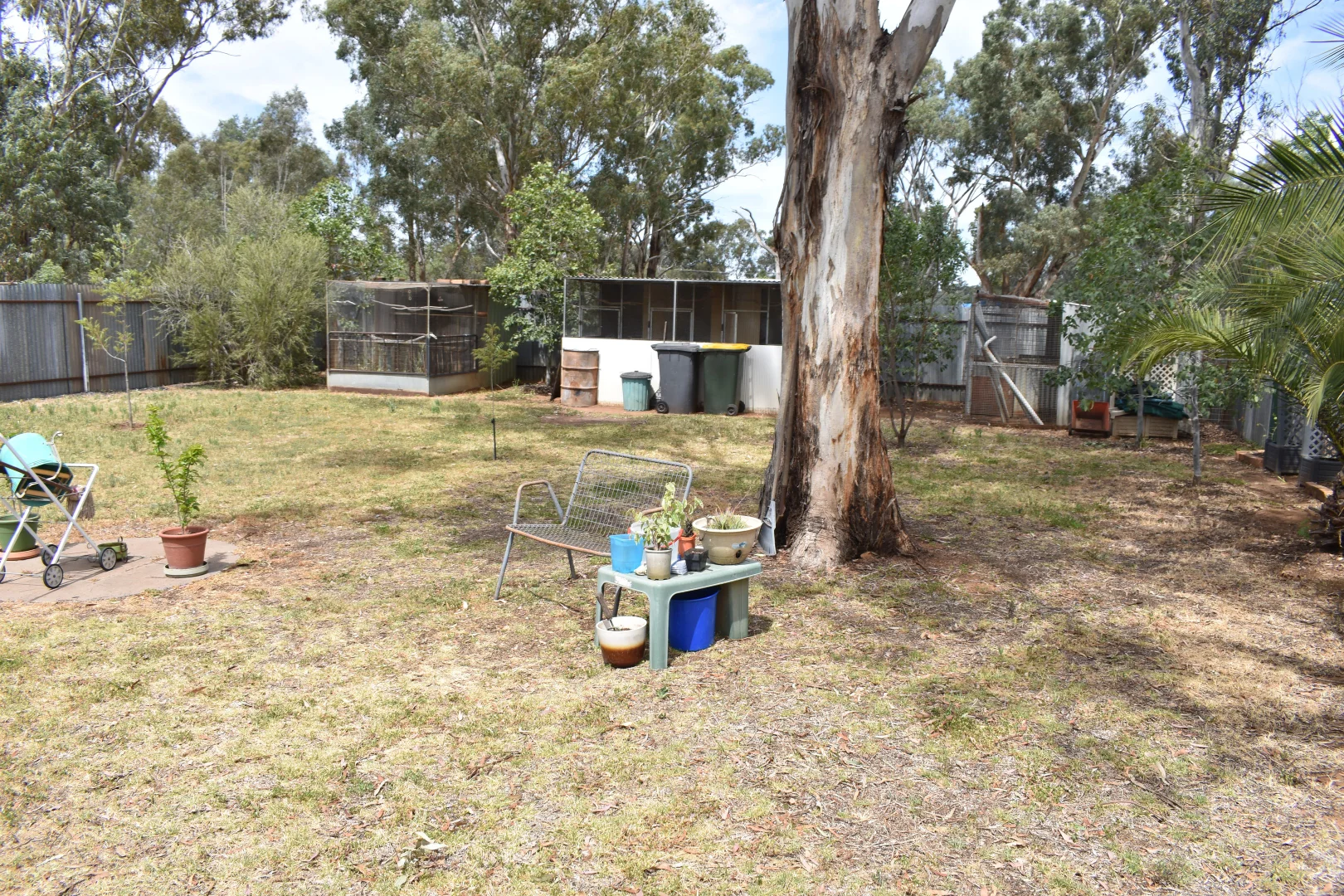 Additional image 13 of Lot 2 Wombin Street, Alectown NSW 2870