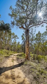 Additional image 40 of 702 Timor Road, Coonabarabran NSW 2357