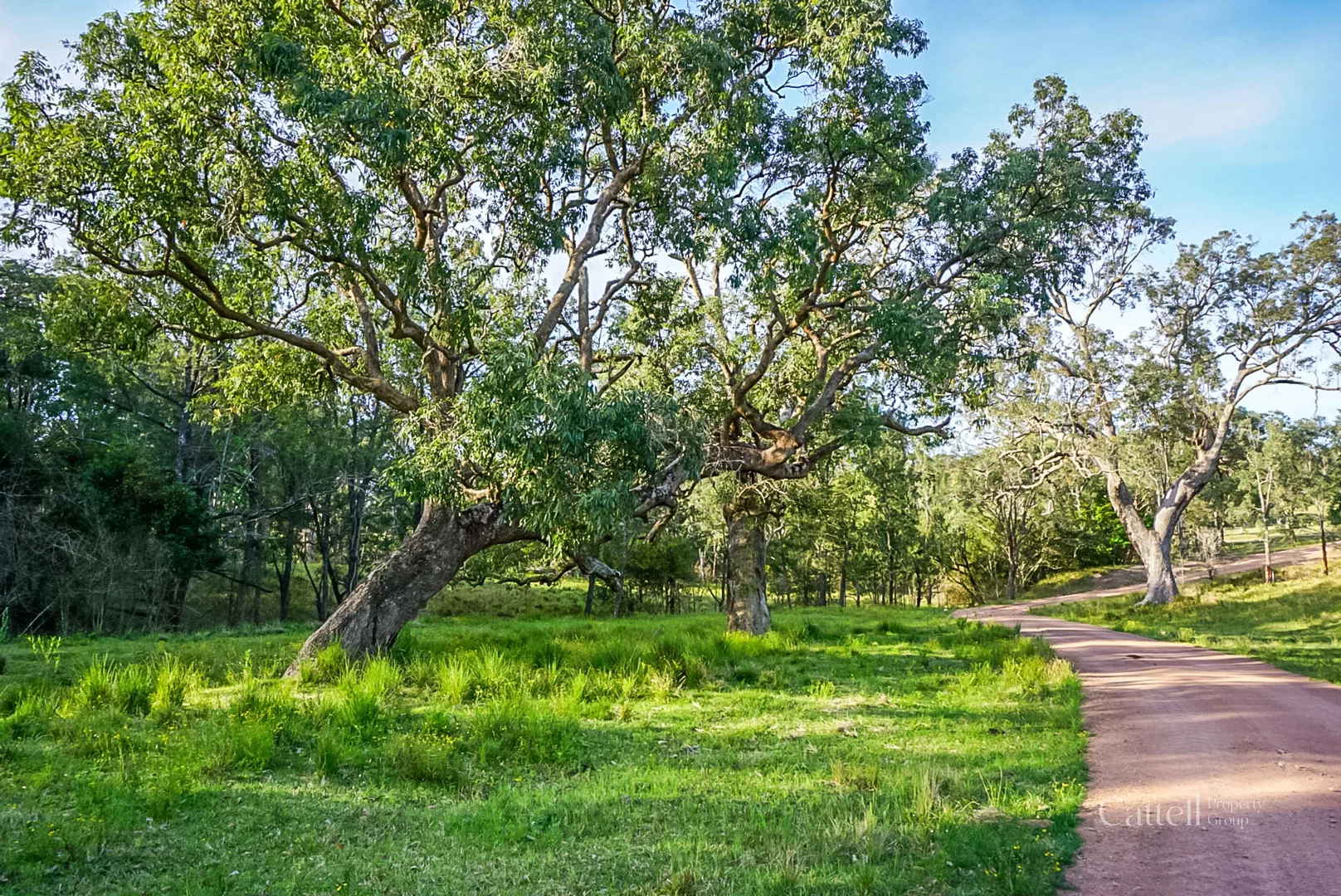 Additional image 28 of 60 Blue Bonnett Road, Lambs Valley NSW 2335