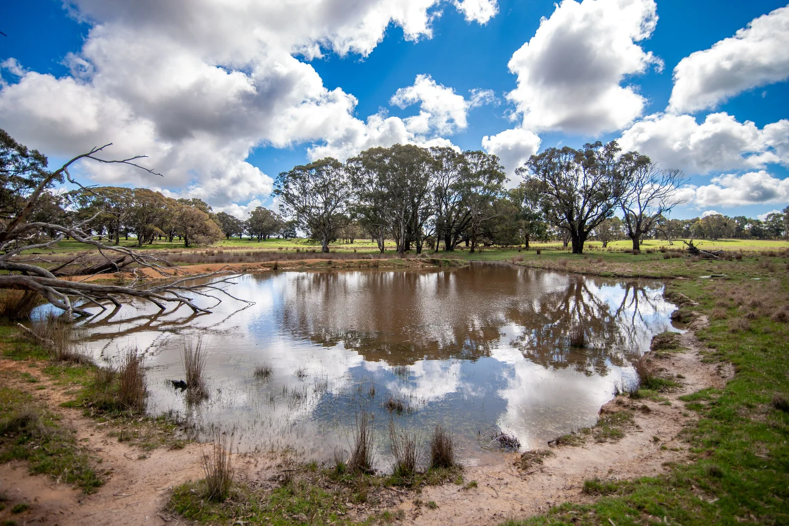Additional image 22 of 6906 Boorowa Road, Lost River NSW 2583