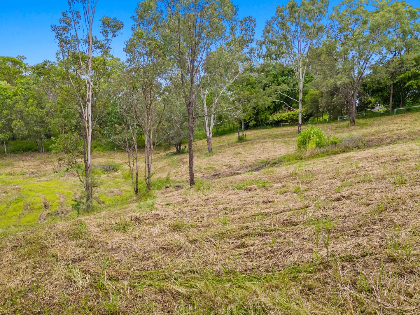 Additional image 5 of 18 Mewsdale Row, Tallai QLD 4213