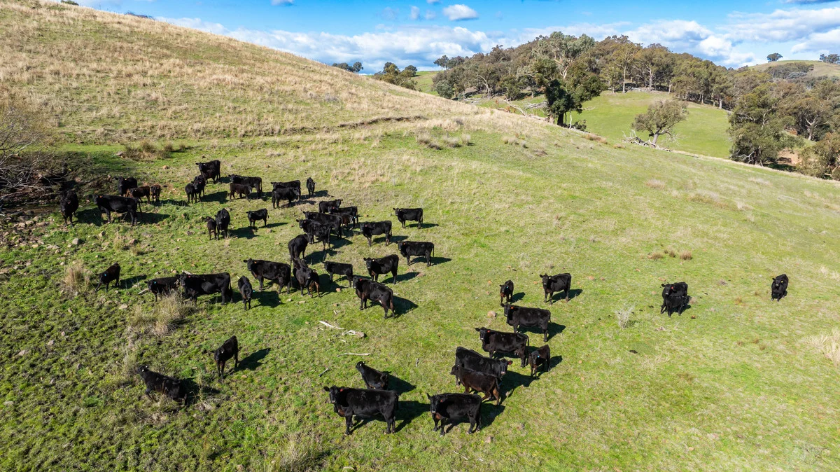 Additional image 26 of 108 Delaneys Lane, Hansonville VIC 3675