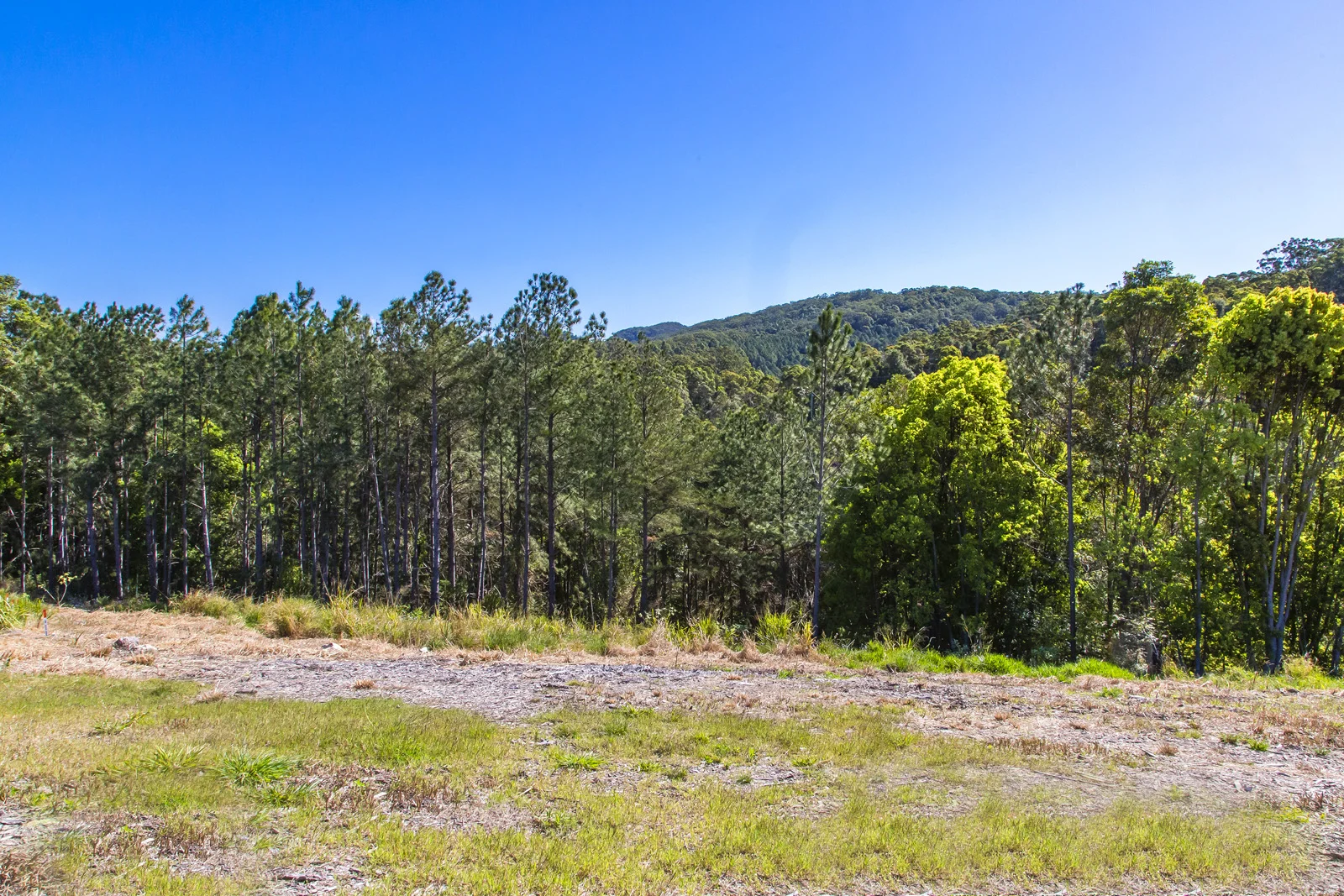 Lot 5 - 8 Powers Court, Eumundi QLD 4562