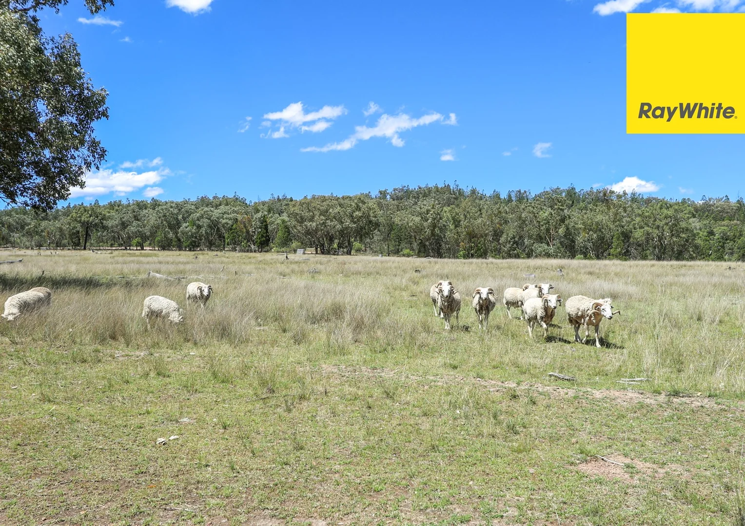 Additional image 23 of 1986 Pindari Dam Road, Pindaroi, Inverell NSW 2360