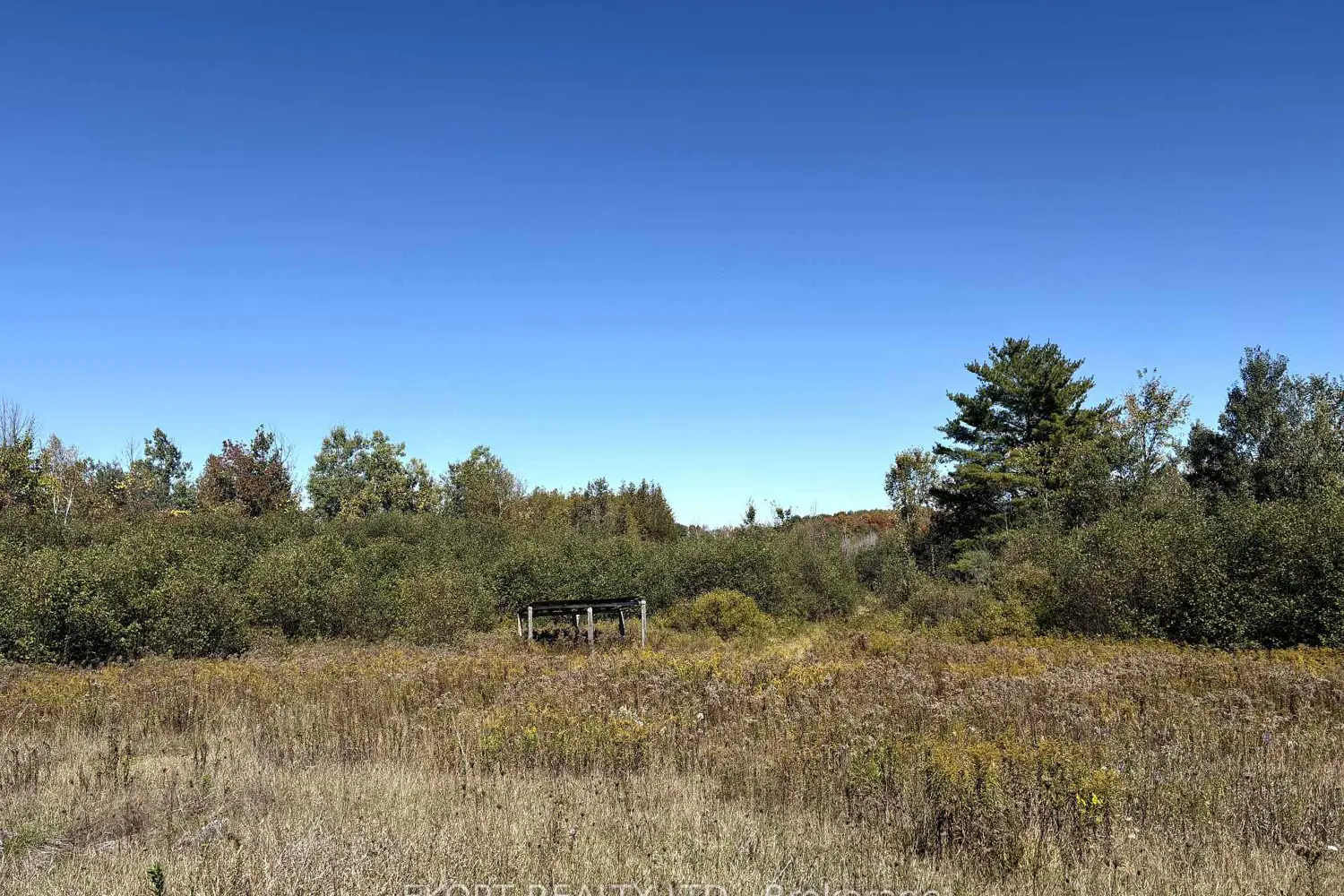 Additional image 12 of 309 Vanderwater Road