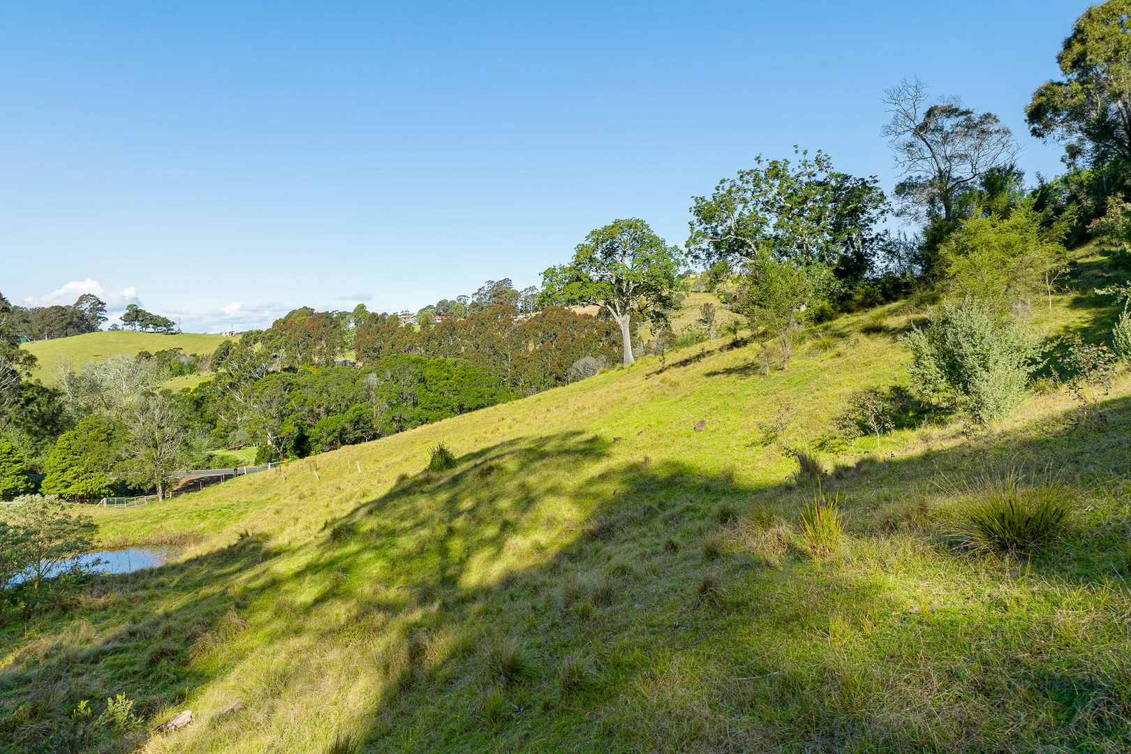 Additional image 11 of 121 Punkalla Tilba Road, Central Tilba NSW 2546