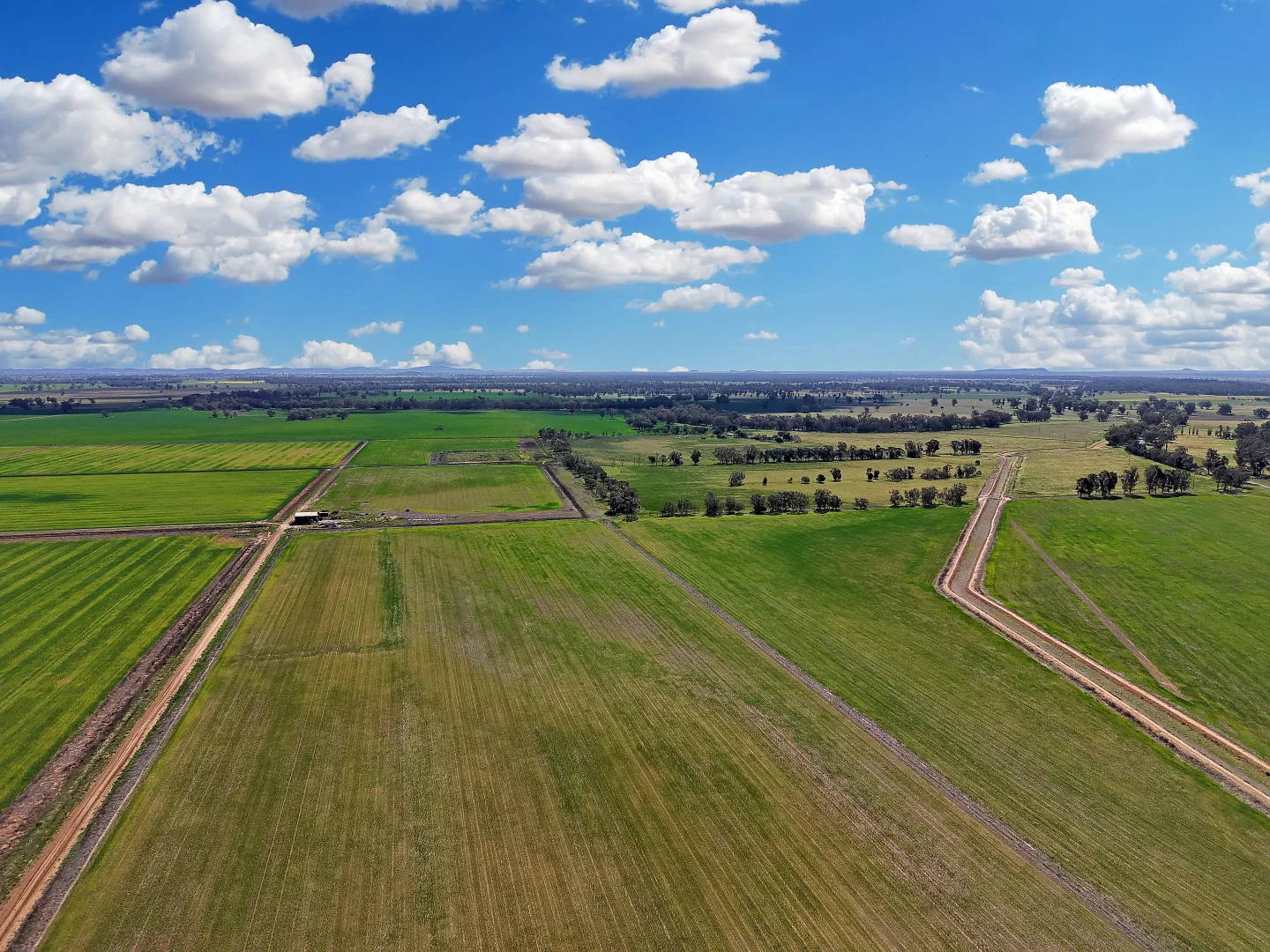 Additional image 26 of 4005 Lachlan Valley Way, Forbes NSW 2871