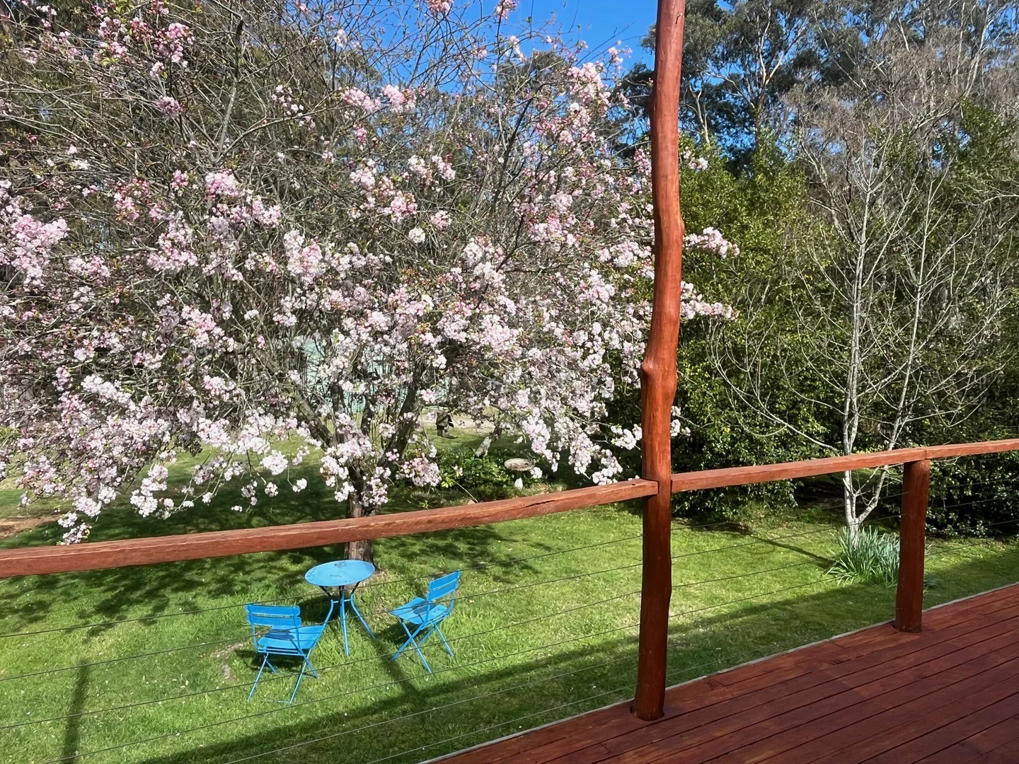 Additional image 8 of 222 Coxs River Road, Little Hartley NSW 2790