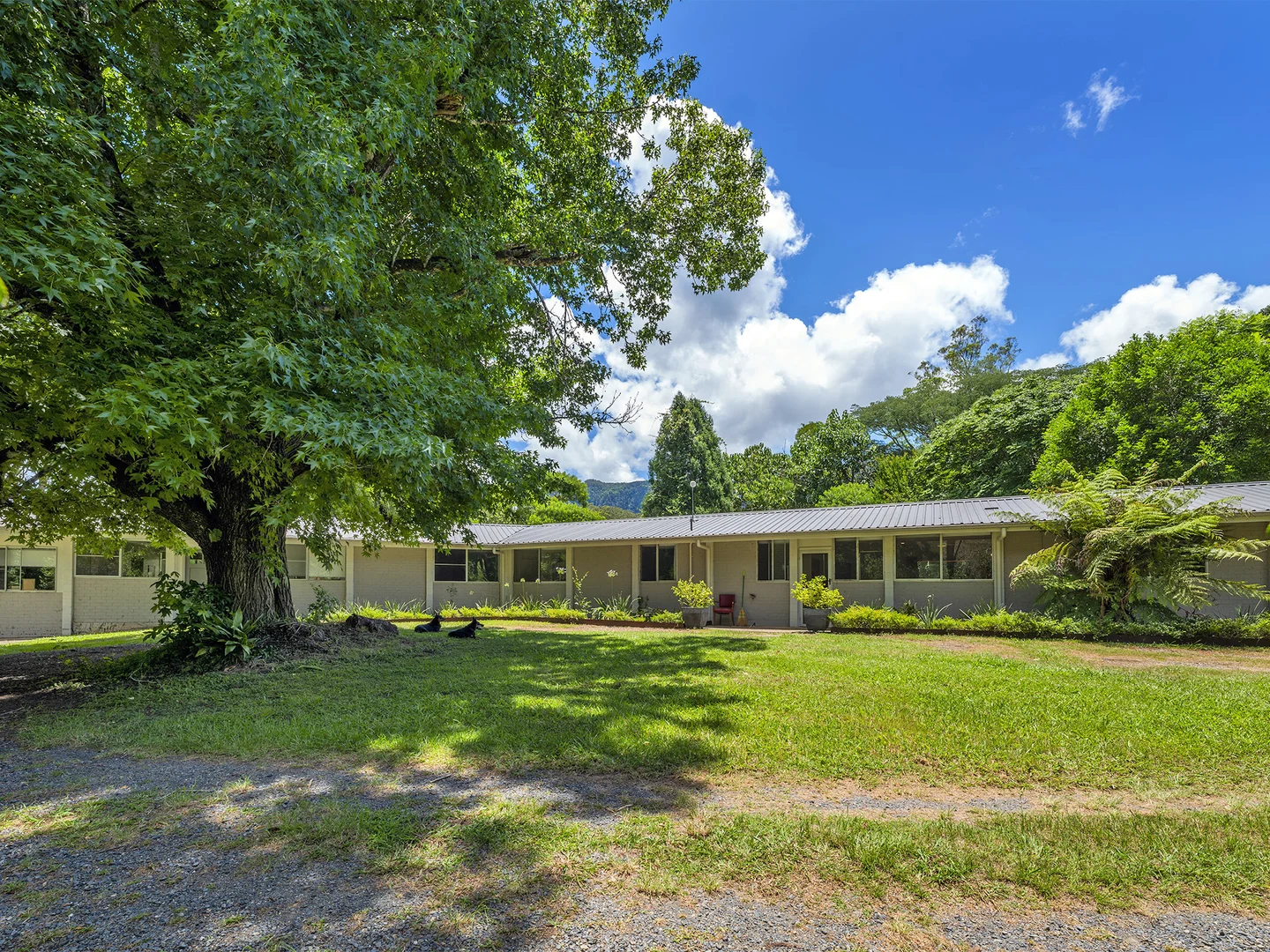 Additional image 24 of 650 Darkwood Road, Thora NSW 2454