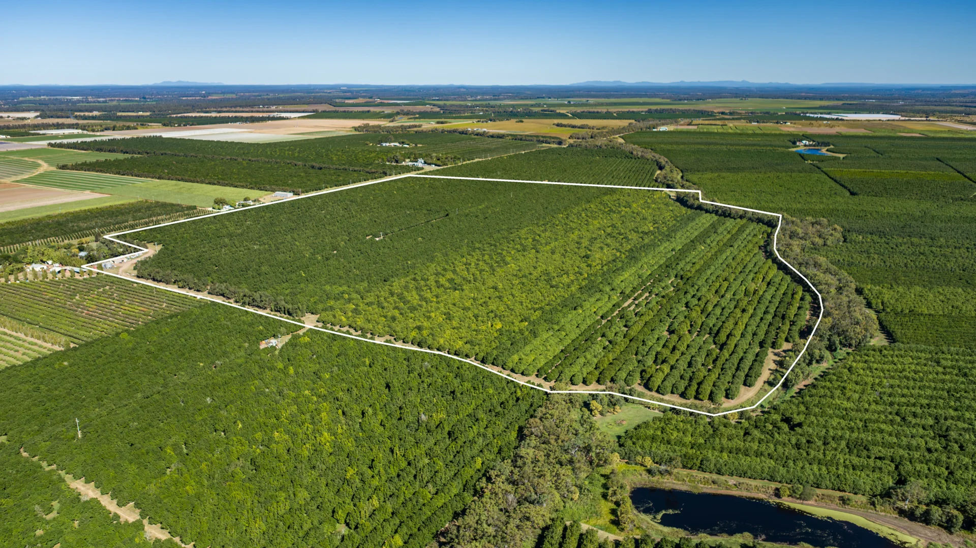 Additional image 5 of 94 Pashleys Road, Welcome Creek QLD 4670