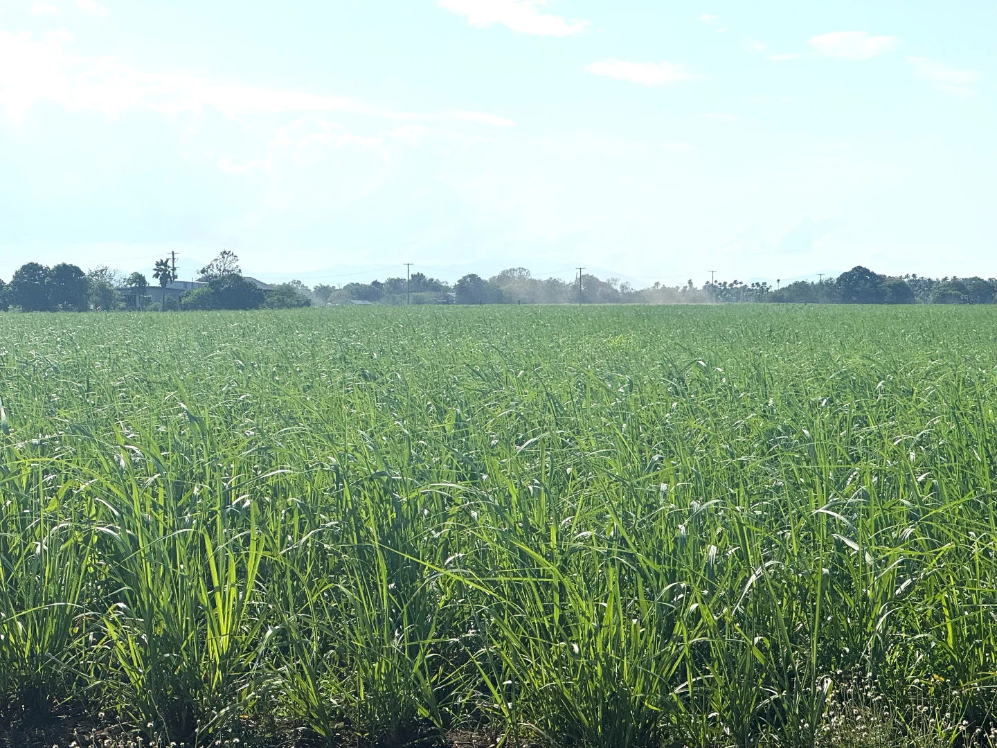 Additional image 13 of 121 Hobson Road, Jarvisfield QLD 4807