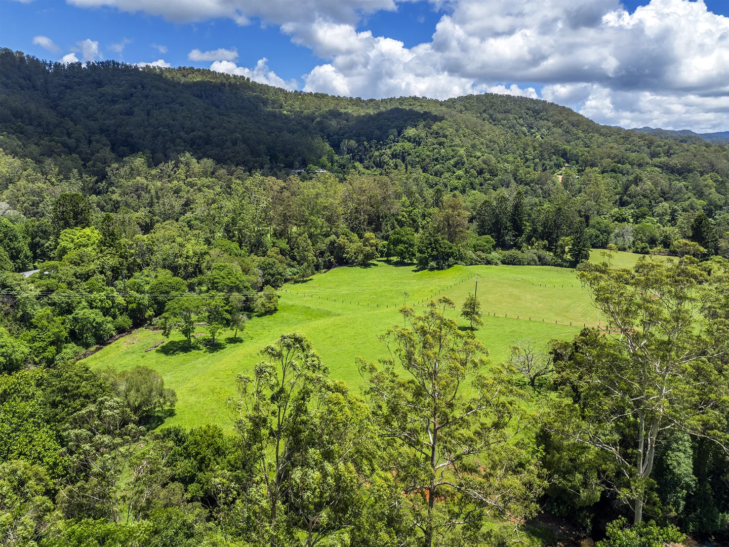 Additional image 5 of 650 Darkwood Road, Thora NSW 2454