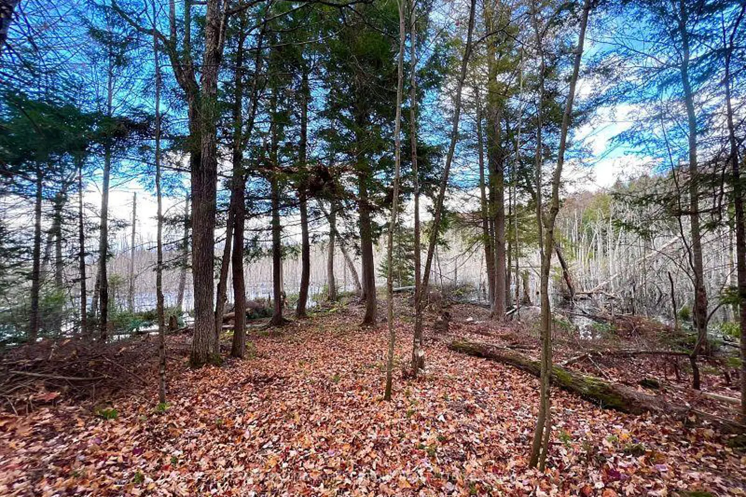 Additional image 16 of 678 Centreview Road