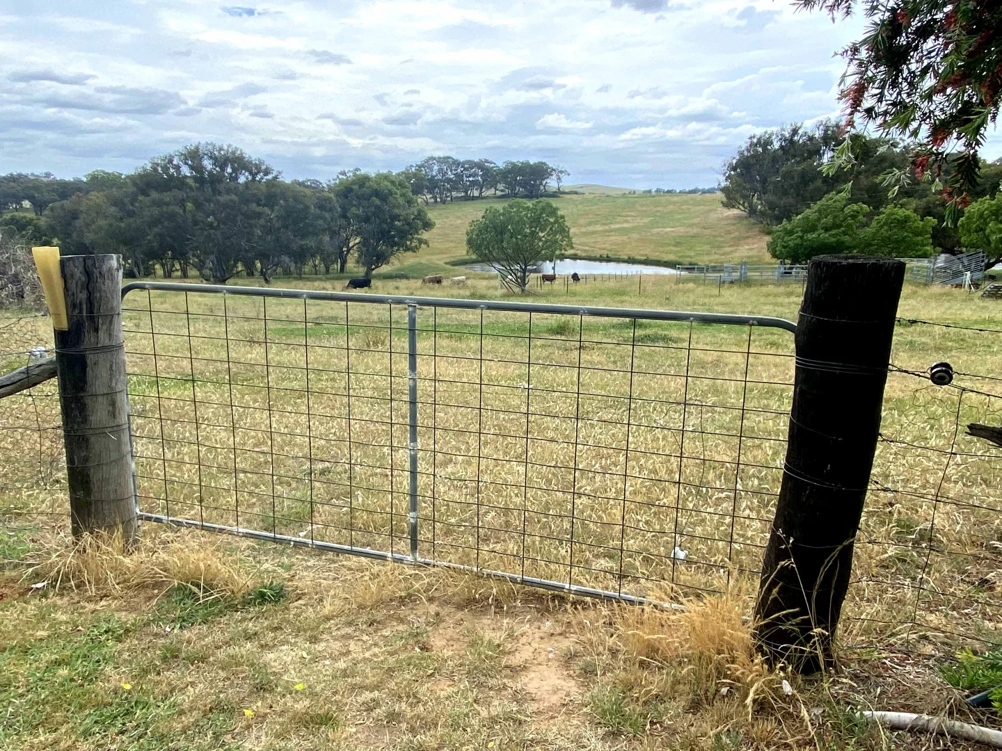 Additional image 31 of "Abbyville" 90 Convent Lane, Borenore NSW 2800