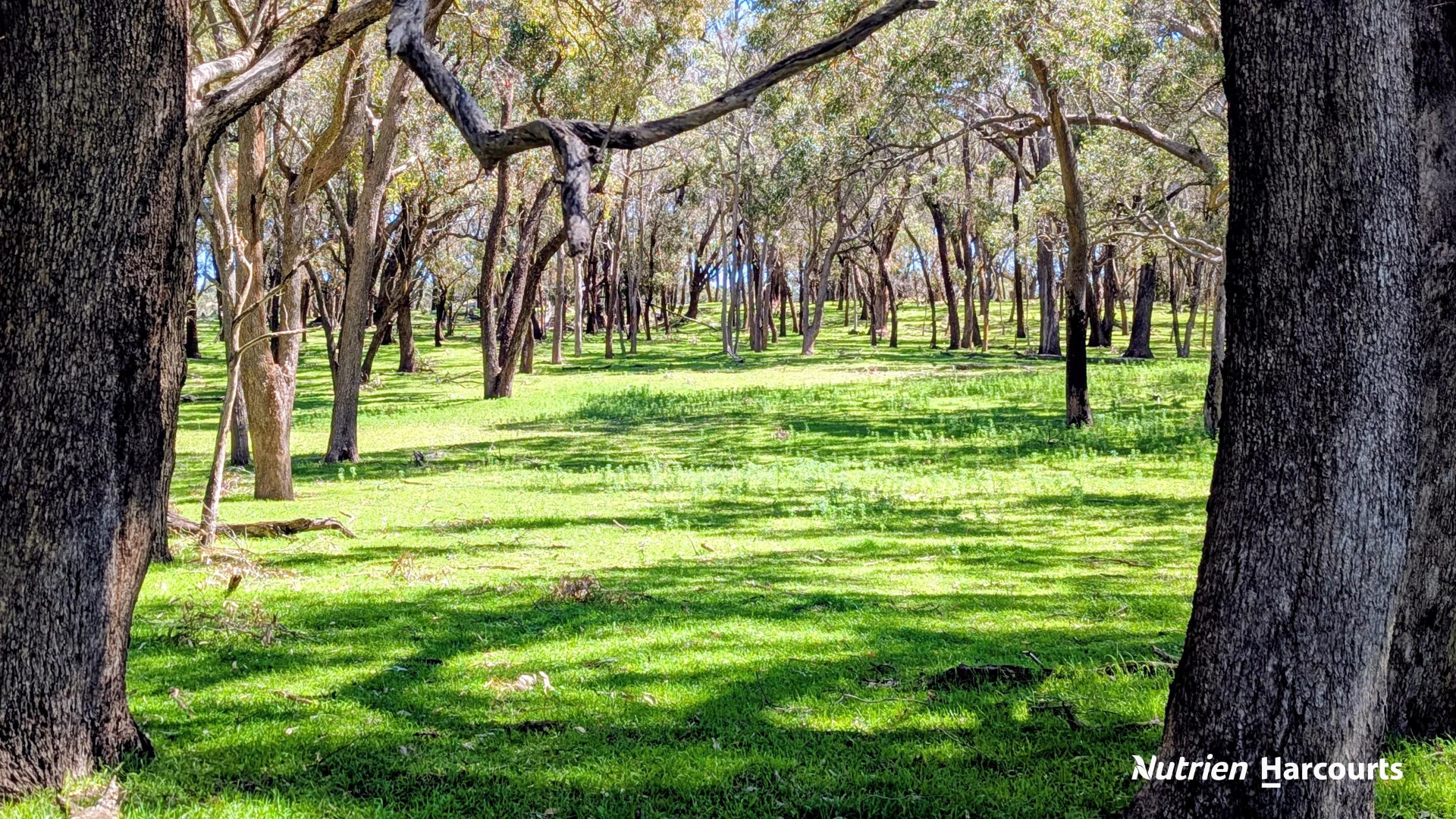 Additional image 4 of Lot 53 Cowalla Road, Cowalla WA 6503