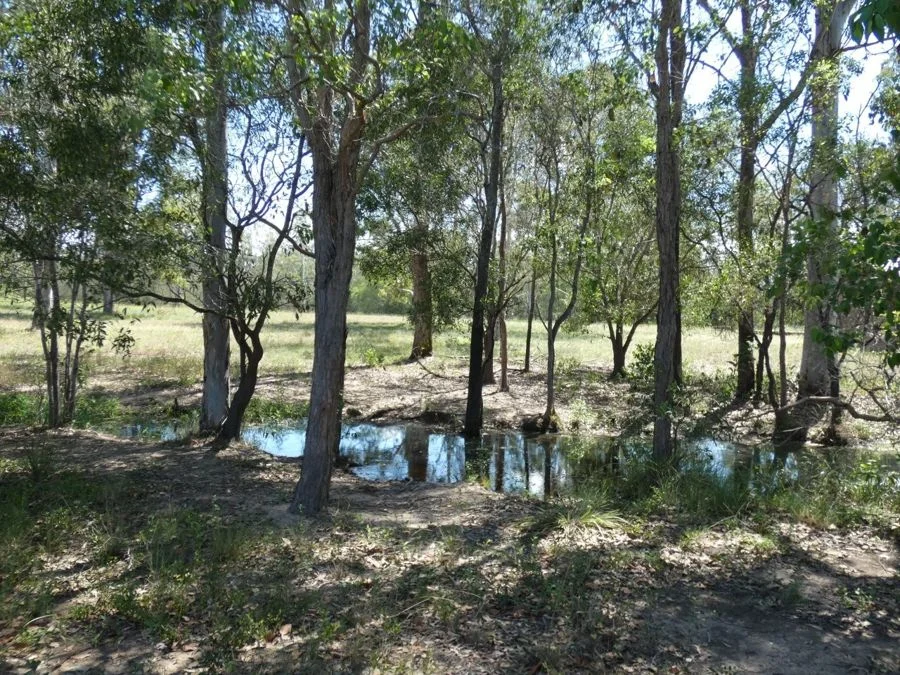 Additional image 30 of 158 Taunton Road, Euleilah QLD 4674