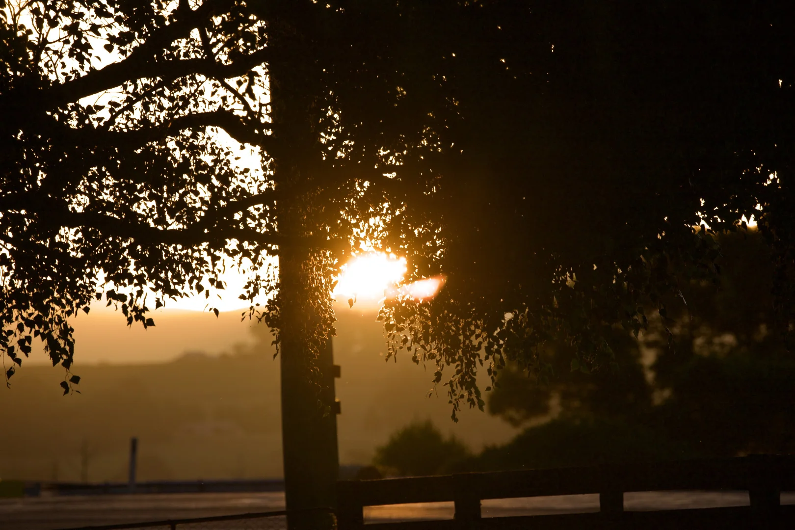 Additional image 7 of 17509 Bass Highway, Boat Harbour TAS 7321