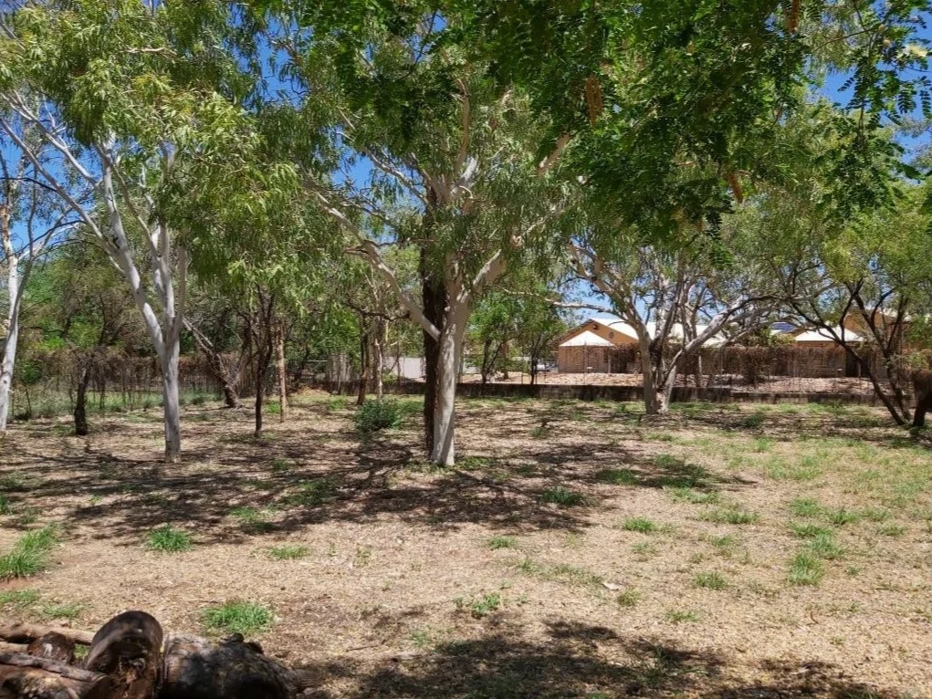 Additional image 14 of 2/51 Panton Street, Derby WA 6728