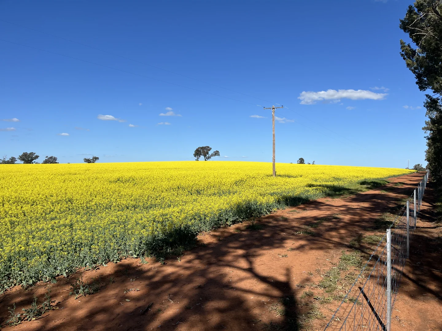 Additional image 7 of 2 Coolamon Road, Coolamon NSW 2701
