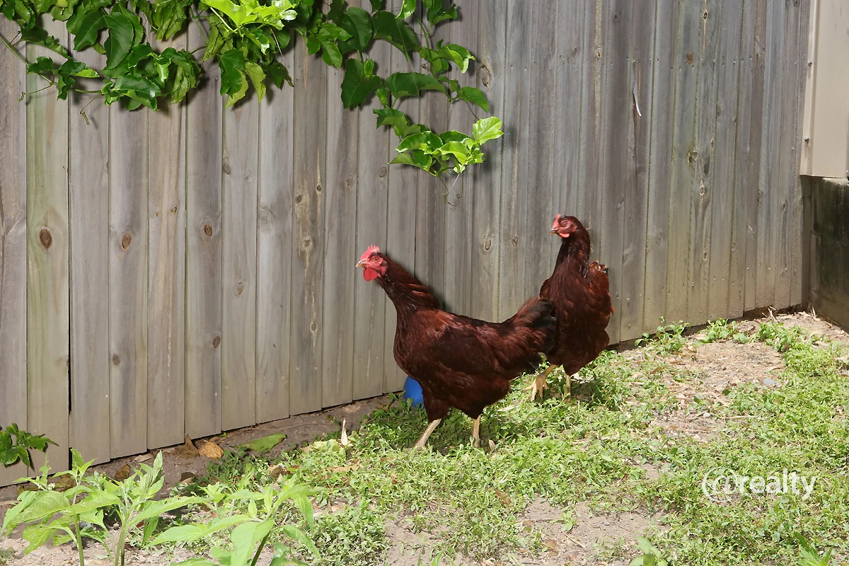 Additional image 30 of 7 Breakspear Road, Molendinar QLD 4214