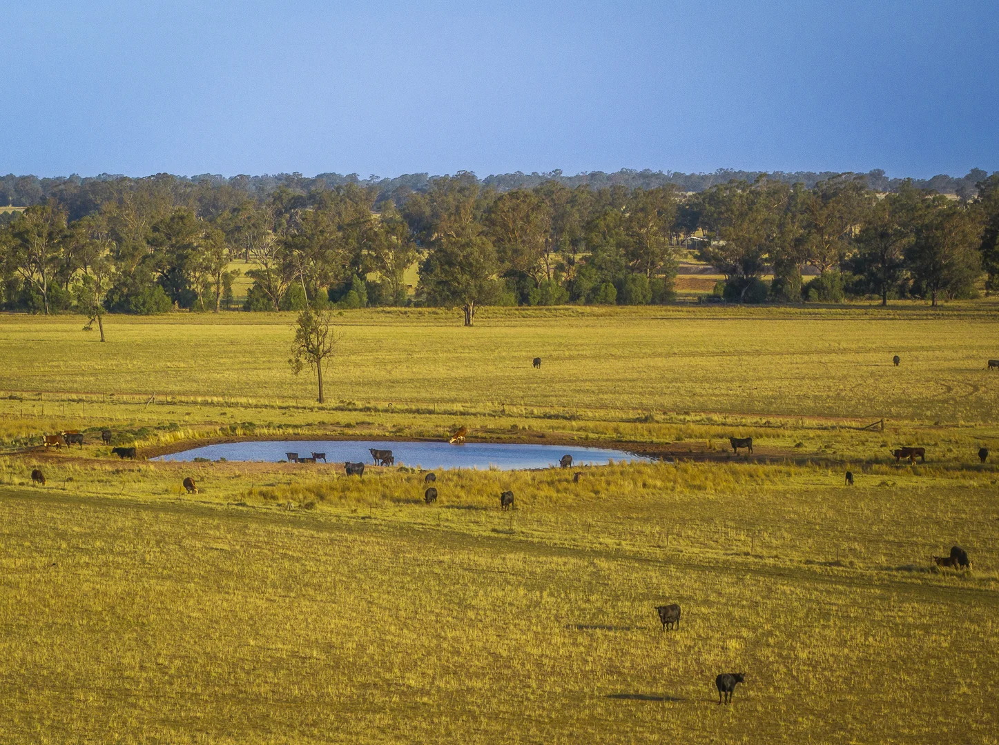Additional image 2 of Mentone 1521 Bruie Plains Road, Trundle NSW 2875