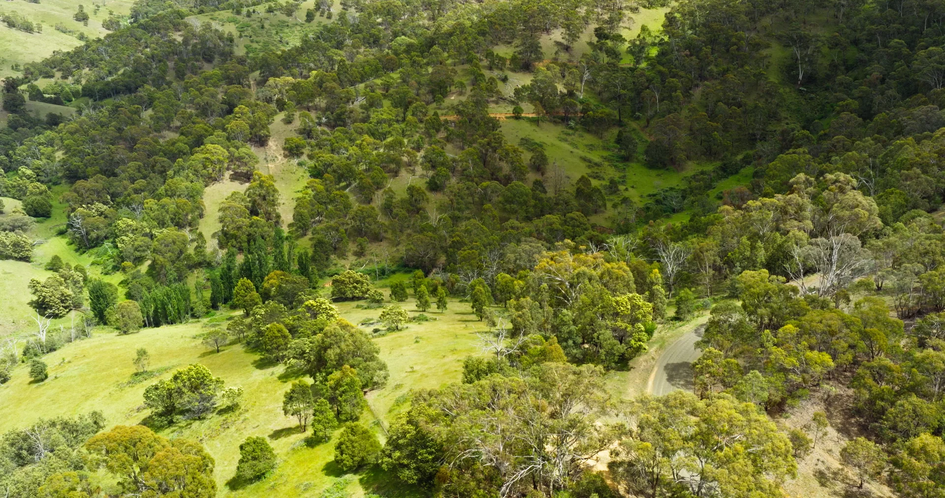 Additional image 5 of Lot 3 - 289 Tongio Gap Road, Tongio VIC 3896