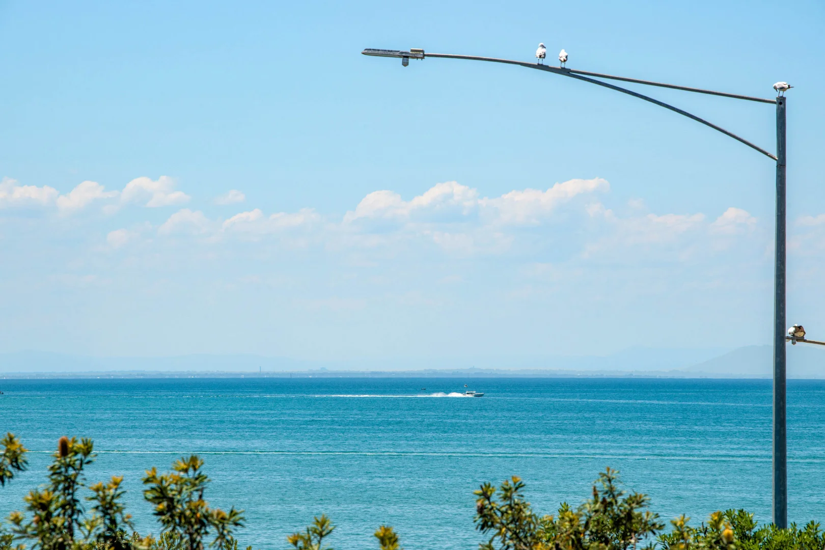 Additional image 15 of 201/1-2 Bluff Road, St Leonards VIC 3223