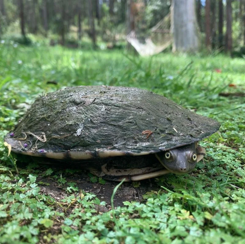 Additional image 20 of Bandon Grove NSW 2420