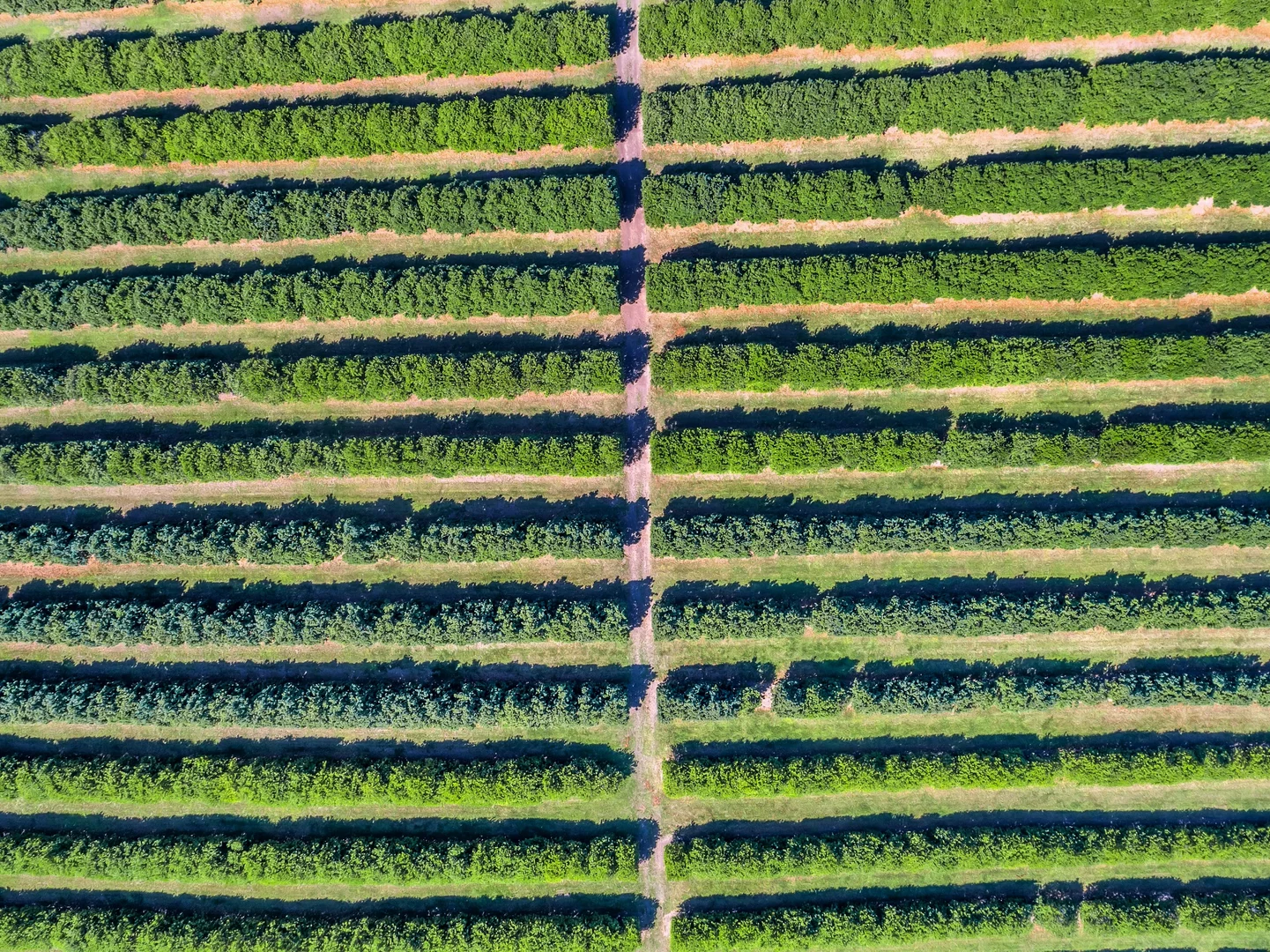 Additional image 10 of Pacific Highway, Eungai Creek NSW 2441